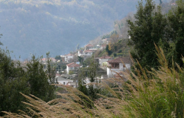 Μακρυρράχη