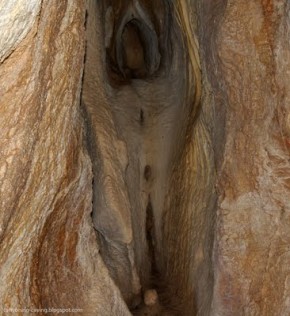 melissotripa
