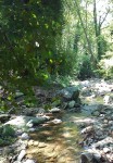 DSC00241
