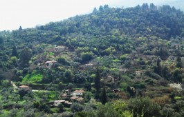 Gerakas_1