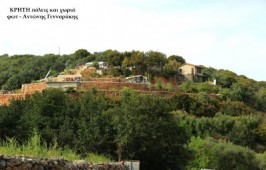 Καρτέρηδες