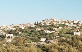 assets_LARGE_t_420_8747609