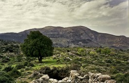 Οροπέδιο Καθαρό