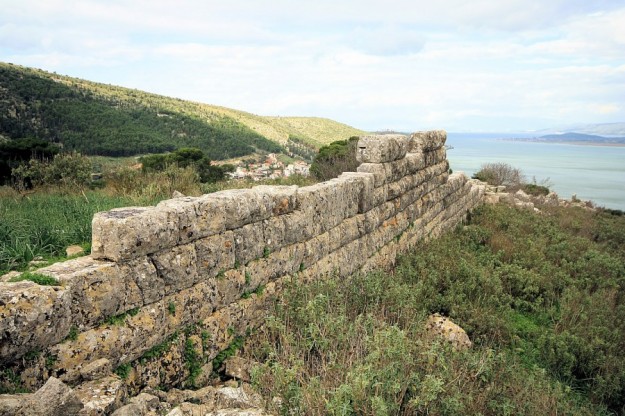 limnaia_amfiloxia_159