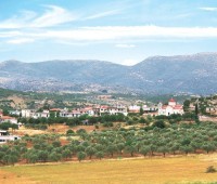 metoxi-molos