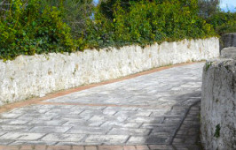 DSC_0039-899x300