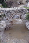 faraggi