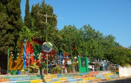 59310364