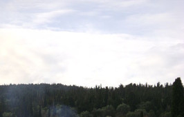 psilithrias-2