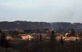 526598_443788115693219_2009189313_n