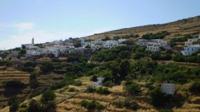 arnados-tinos-a7dbad0e189381ff31fd7debb73a557e