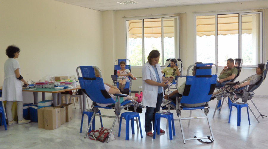 aimodosia-pefka 20.6.2015-3