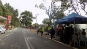 Koklamas Gortynias 21-5-2016-1-W800