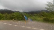 Koklamas Gortynias 21-5-2016-10-W800