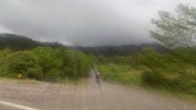 Koklamas Gortynias 21-5-2016-11-W800