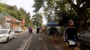 Koklamas Gortynias 21-5-2016-2-W800