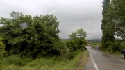 Koklamas Gortynias 21-5-2016-6-W800