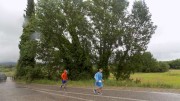Koklamas Gortynias 21-5-2016-7-W800