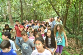 perivallon-alsos delasal 6.6.2016-6