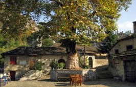 kepesovo
