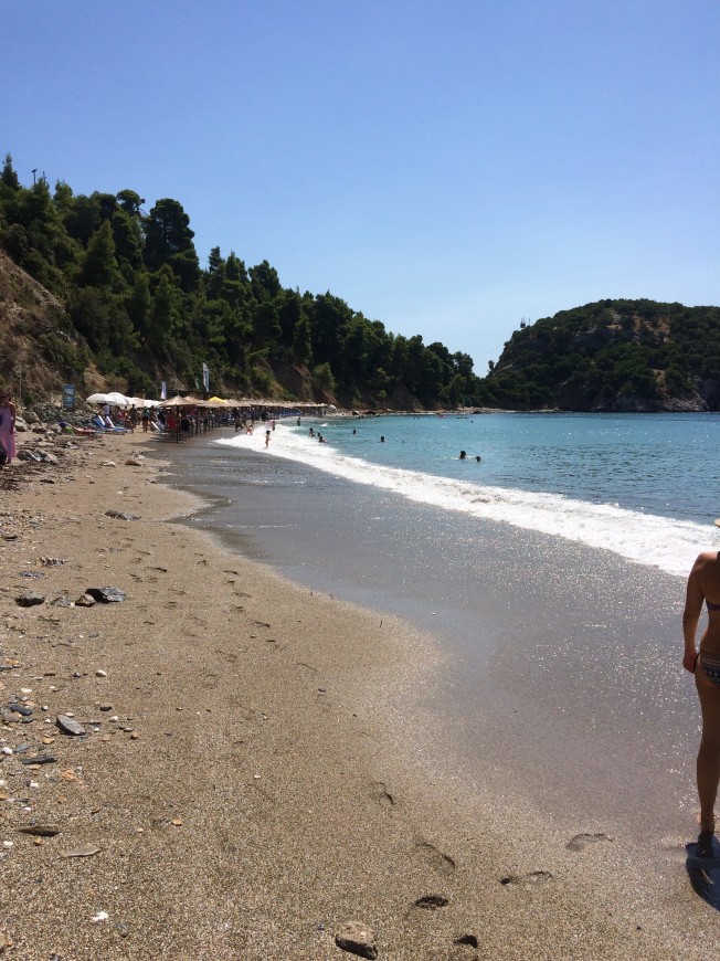 Στάφυλος