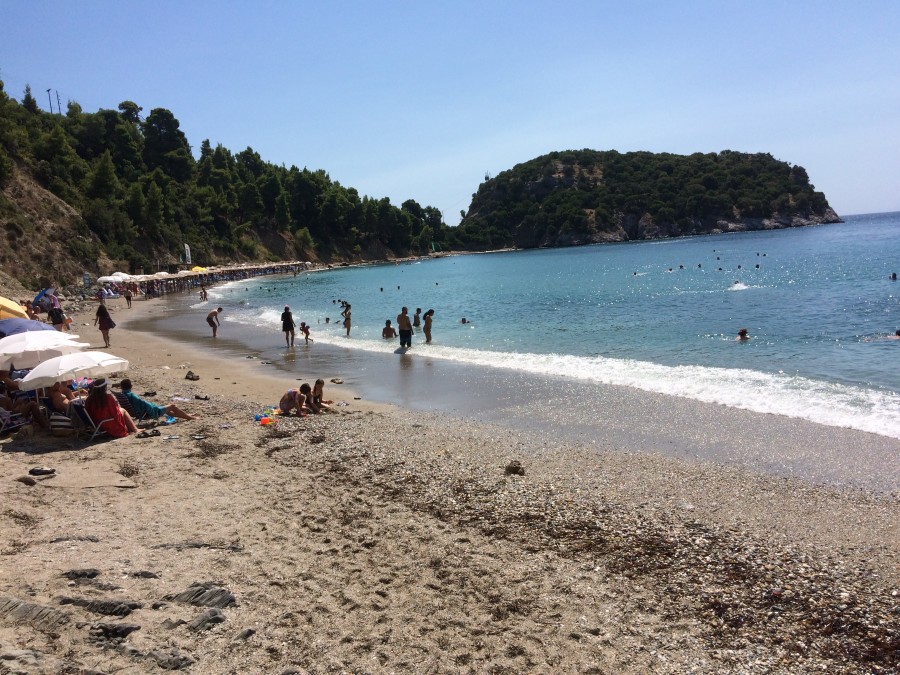 Στάφυλος