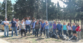 dendrofyteia-katharismos-1