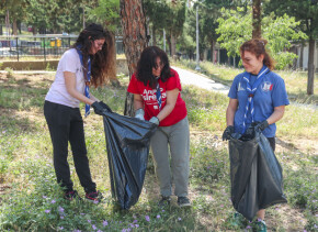 dendrofyteia-katharismos-6