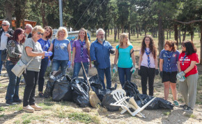 dendrofyteia-katharismos-8