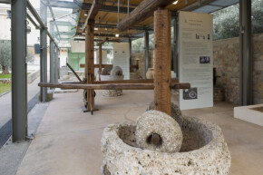 OLIVE MUSEUM